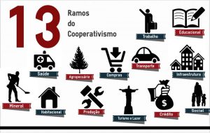 Leia mais sobre o artigo Os 13 ramos cooperativos do Brasil